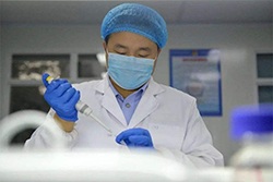 南京隐私亲子鉴定具体的流程