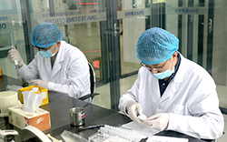 大同亲子鉴定费用是多少钱，大同亲子鉴定需要什么手续