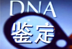 宿迁中医院能办理血缘检测吗，宿迁医院做DNA亲子鉴定需要什么手续