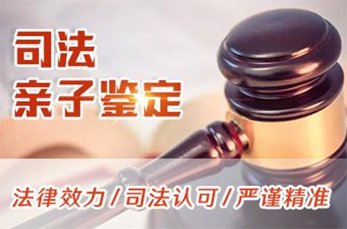 七台河司法DNA亲子鉴定怎么做,七台河<a href=