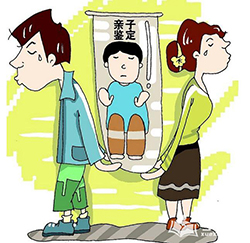 大同个人DNA亲子鉴定价格收费