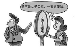 绍兴医院办理亲子鉴定生物检材有哪些