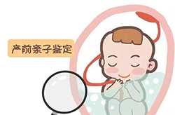 福建怀孕亲子鉴定大概多少费用，福建产前亲子鉴定需要怎么办理
