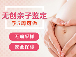 在绥化刚怀孕要如何办理胎儿亲子鉴定，绥化做怀孕亲子鉴定准确性高吗